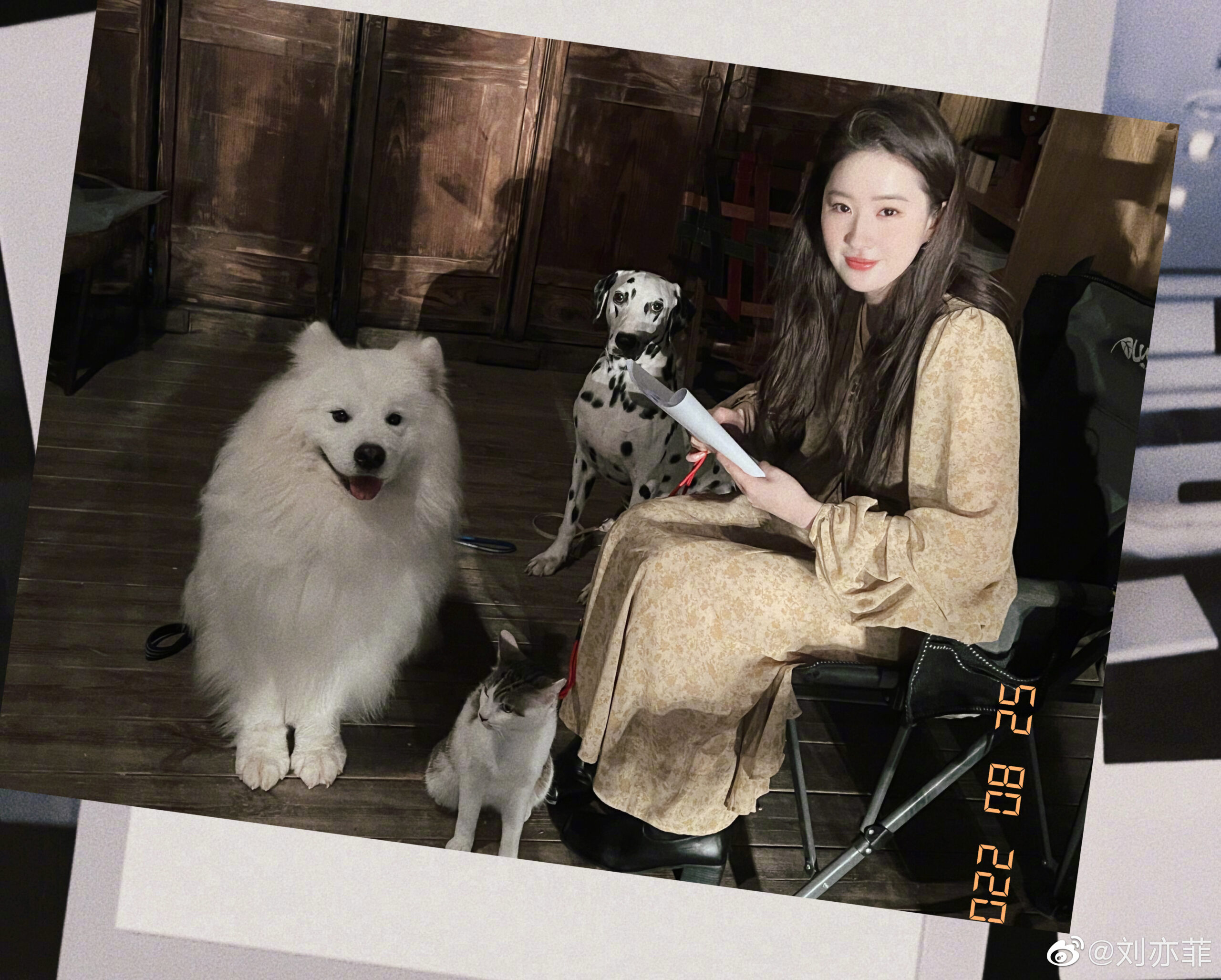 (圖片來源:Weibo@刘亦菲)