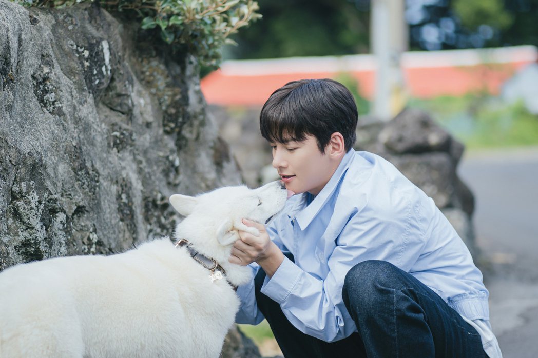 (圖片來源:JTBC)