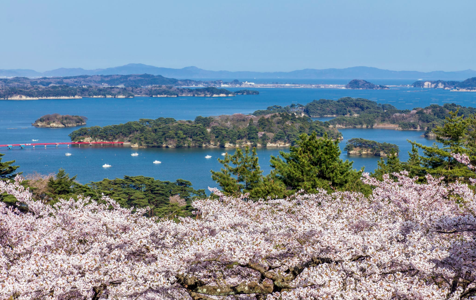 享有「日本三大景」美譽的松島(圖:日本觀光局 官網)