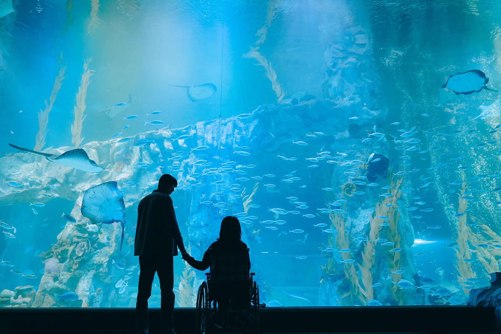 南柱赫、韓志旼《喬瑟與老虎,魚》電影劇照。(圖/IMDb)