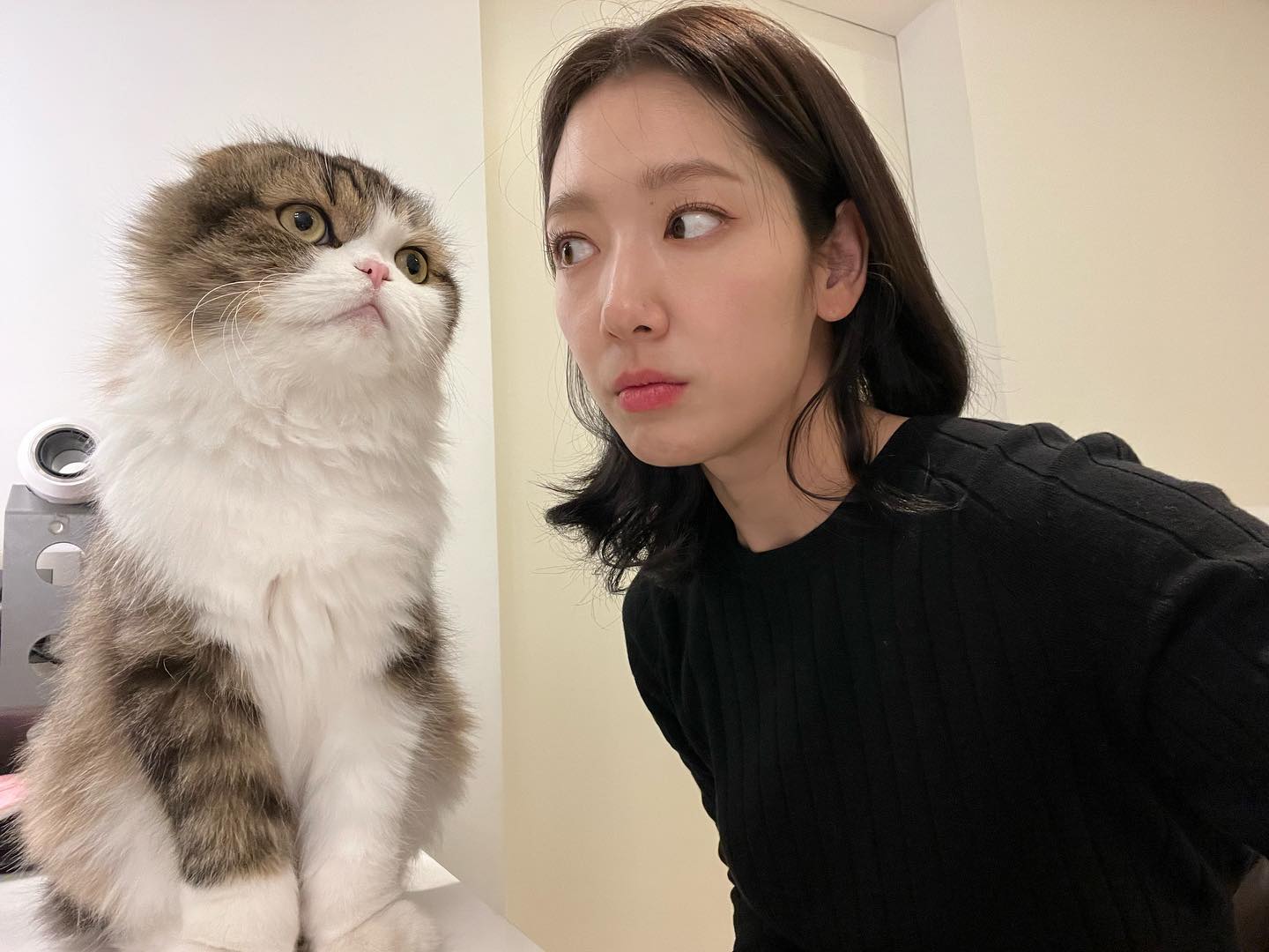 崔泰俊與朴信惠都是愛貓人士(圖:IG@ssinz7)