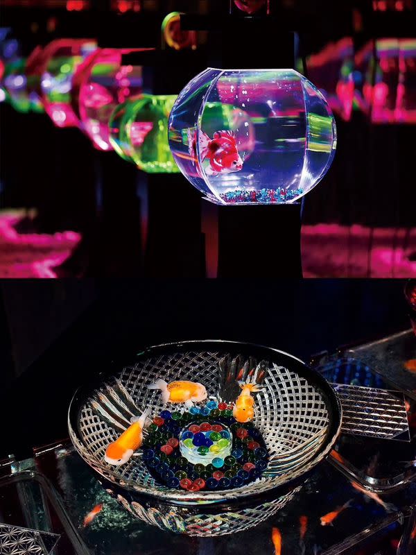 日本金魚藝術展掀動物爭議 官方回應出爐了(圖:Art Aquarium主辦單位提供)