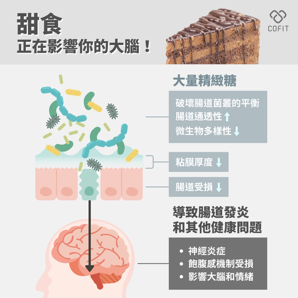 (圖/初日診所)