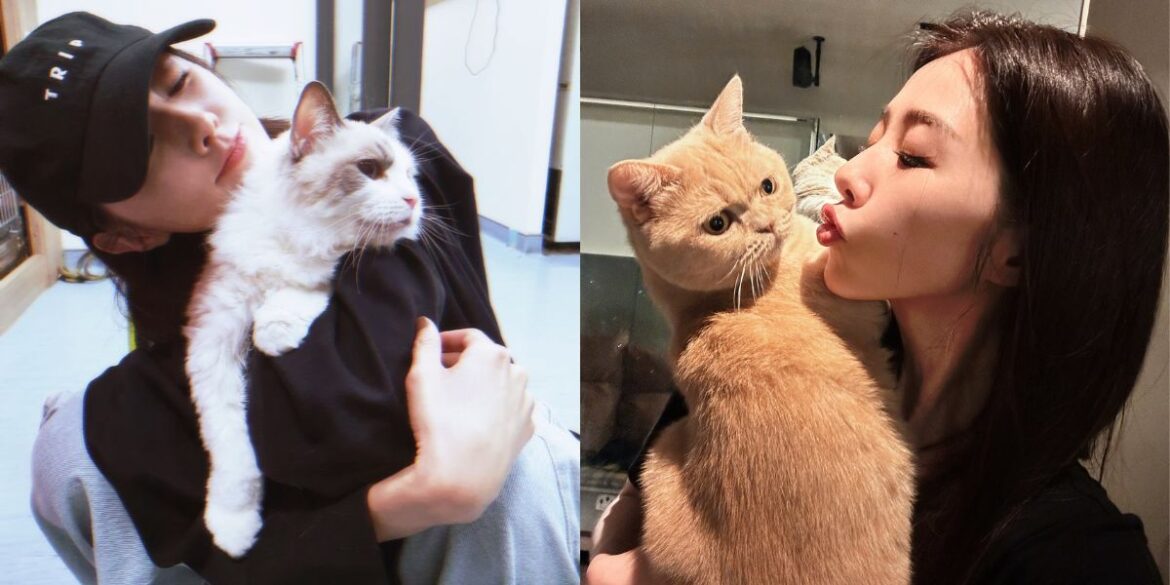 愛貓成癡的邵雨薇時常在社群媒體上分享與寵物的合照。（圖：FB@邵雨薇）