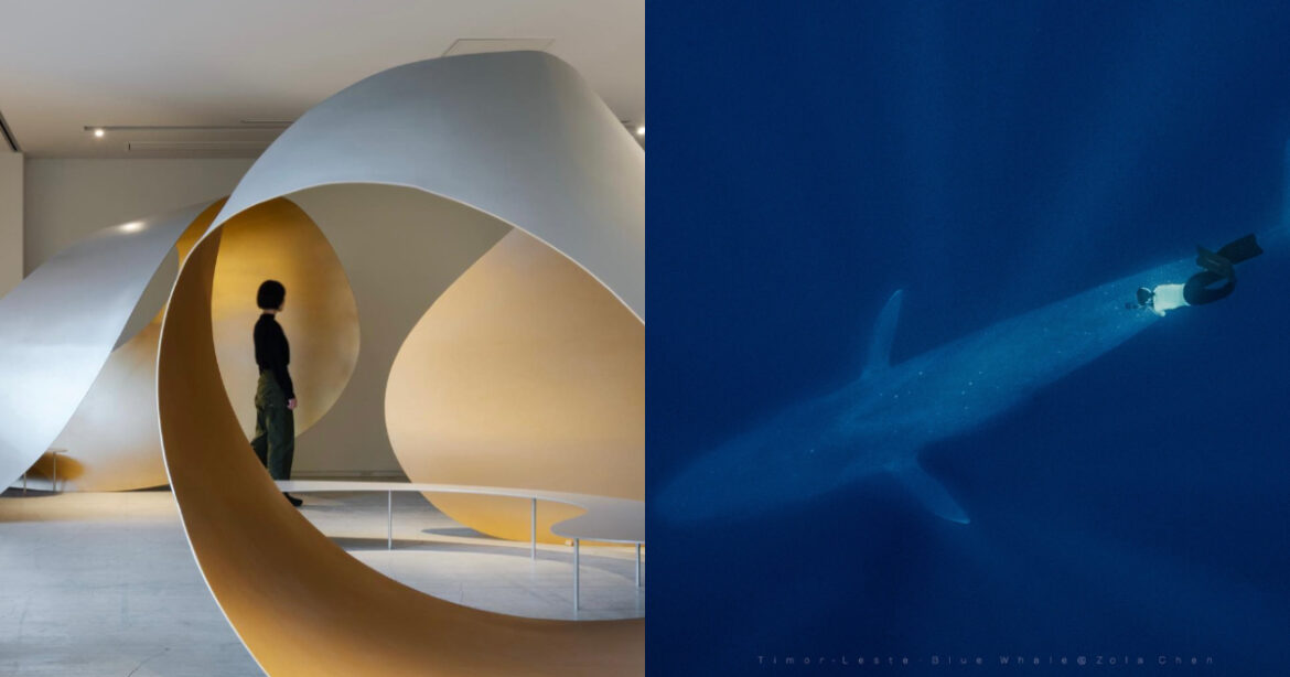 10/30-11/5 藝文一週大事回顧：東京藝術週串連 52 間博物館、花蓮跳浪藝術節開跑（圖：FB@花蓮跳浪藝術節、FB@ART WEEK TOKYO）