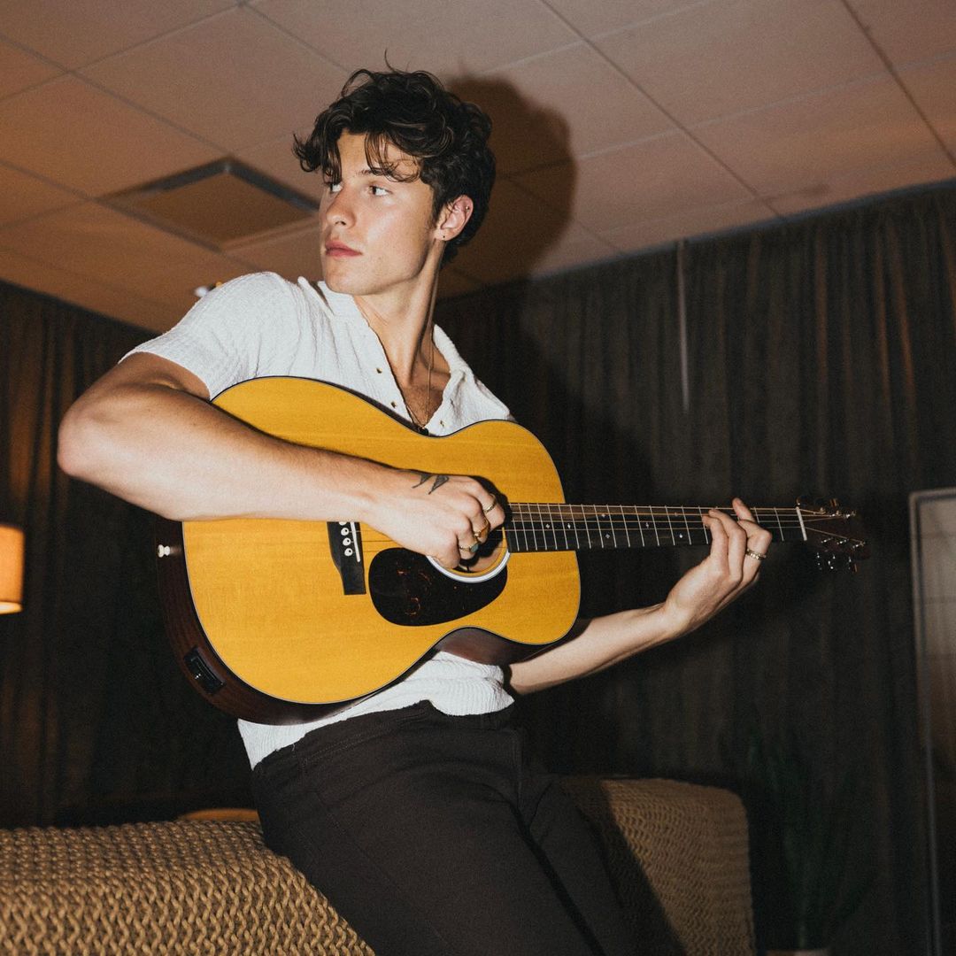 尚恩曼德斯日前大方公開自己的性取向。(圖/instagram @shawnmendes)