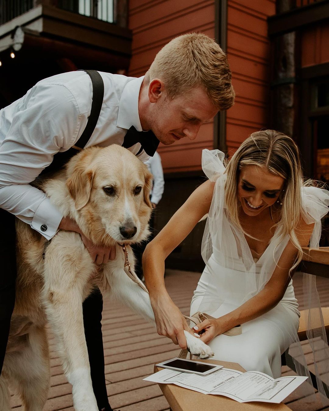 狗狗可以留下爪印在結婚證書上。(圖/Instagram @ feliciarenaephotography)