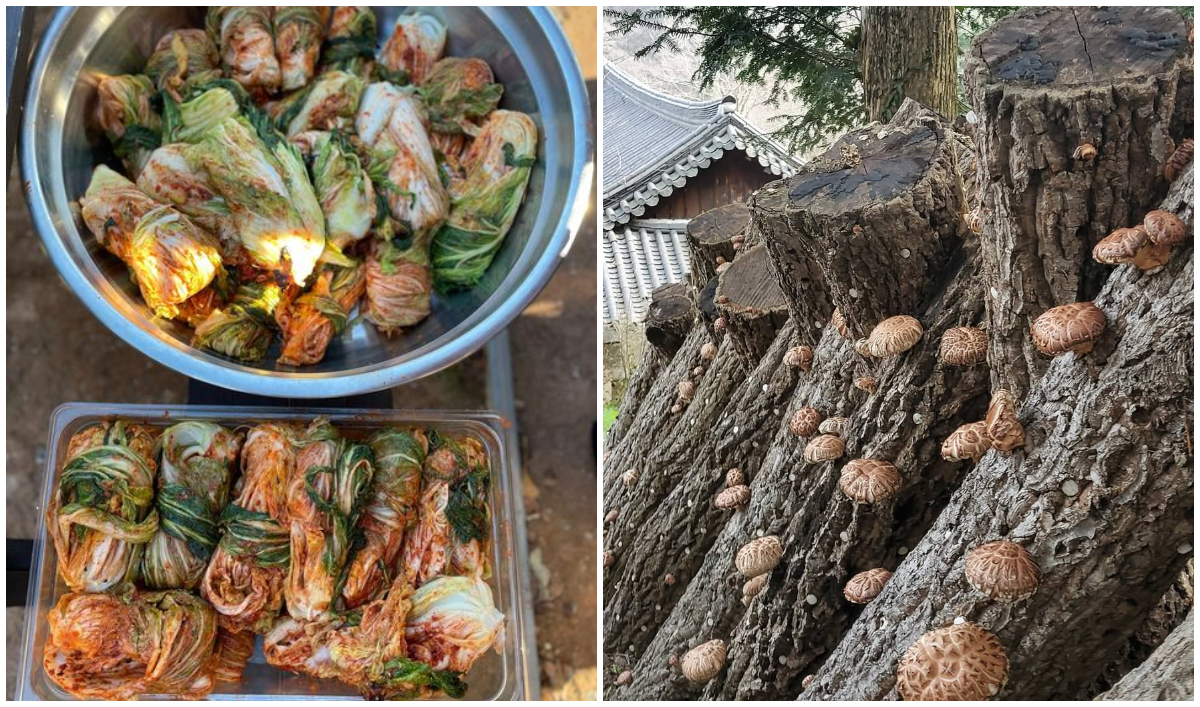 靜觀師太會親自種植蔬菜,並自製大醬與醬油(圖:IG@jeongkwanseunim)