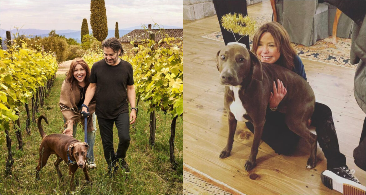 Rachael Ray樂當狗媽媽。（圖／rachaelray IG）