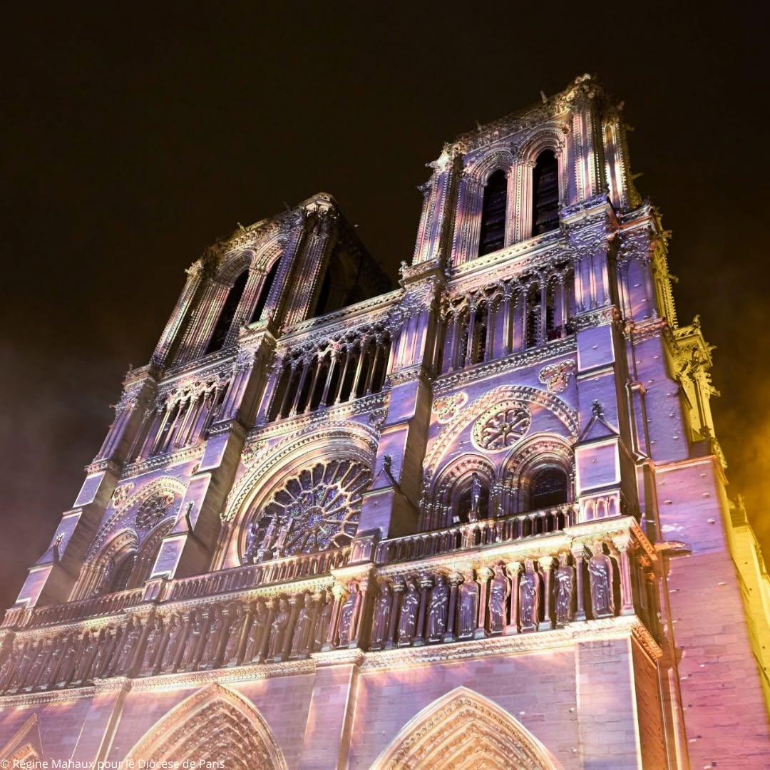 巴黎聖母院華麗重啟　考古發現藝術品與棺材（圖：IG@notredamedeparis）
