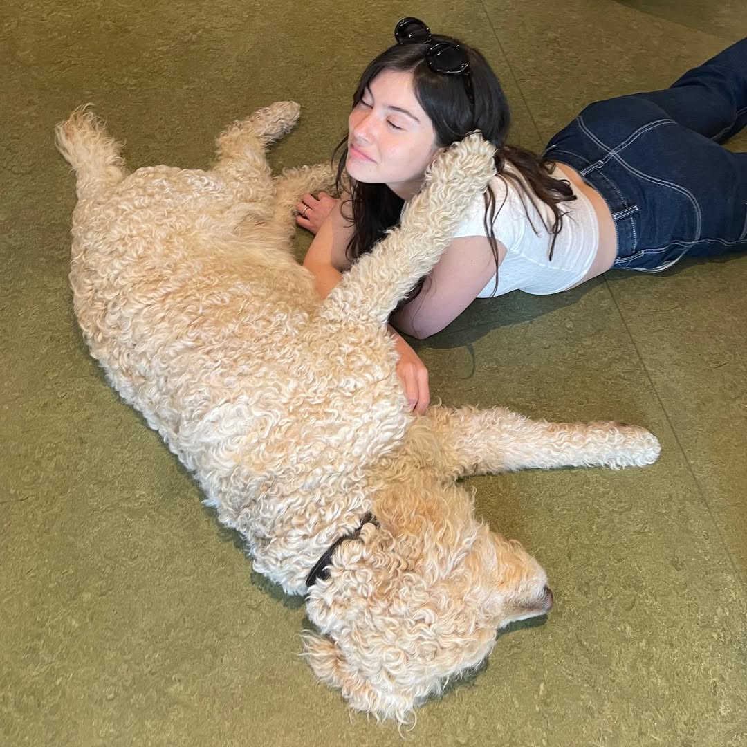認識瑞典 Lagom 生活法。(圖/Instagram@gracieabrams)