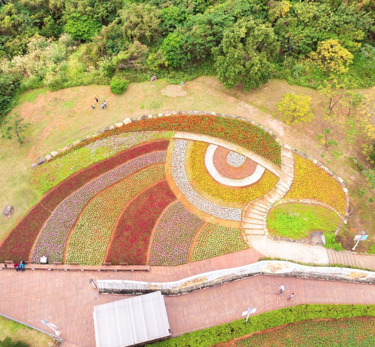 「三層崎花海」利用大量的花草打造出大冠鷲圖騰(圖:花 IN 台北官網)