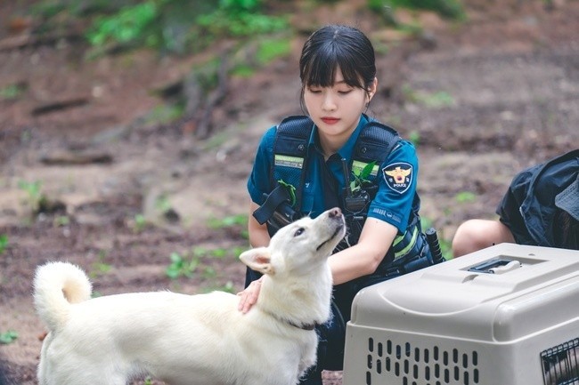 你覺得什麼小動物會被你吸引呢?(圖/Netflix,《偶然的田園日記》劇照)