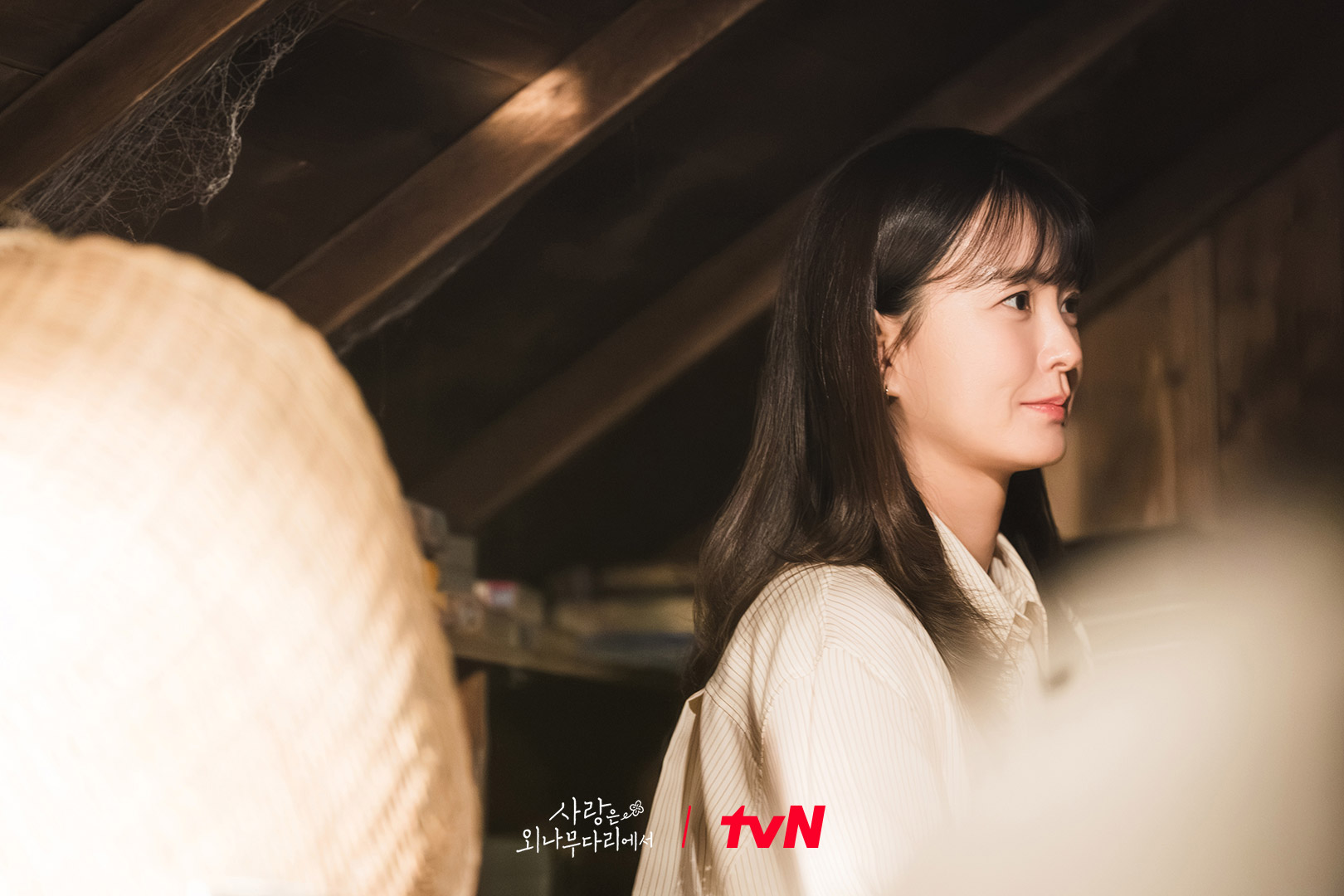 愛情來敲門時擋也擋不住。(圖/tvN,《愛在獨木橋》劇照)