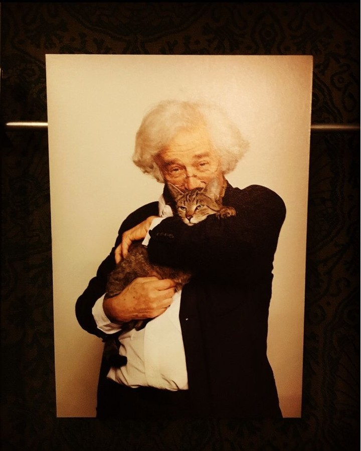 Katten Kabinet 創辦人 Bob Meijer 為了紀念愛貓 Morgan 開設貓咪博物館(圖:IG@het.kattenkabinet)
