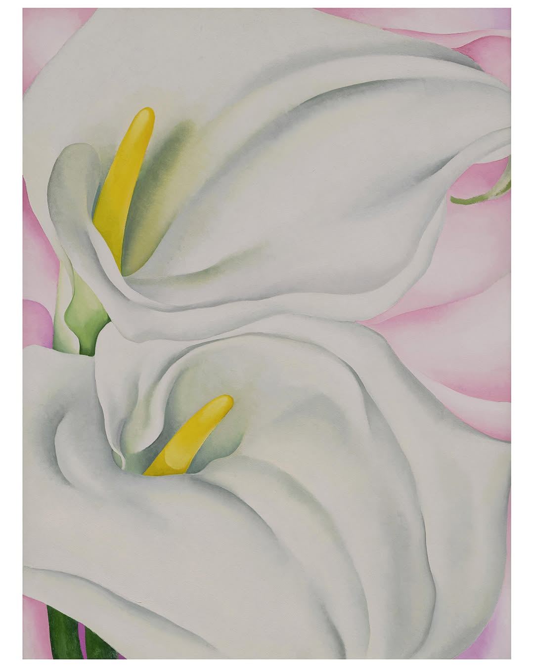 1924 年,Georgia O’Keeffe 開始創作最具代表性的花卉系列(圖:IG@okeeffemuseum)