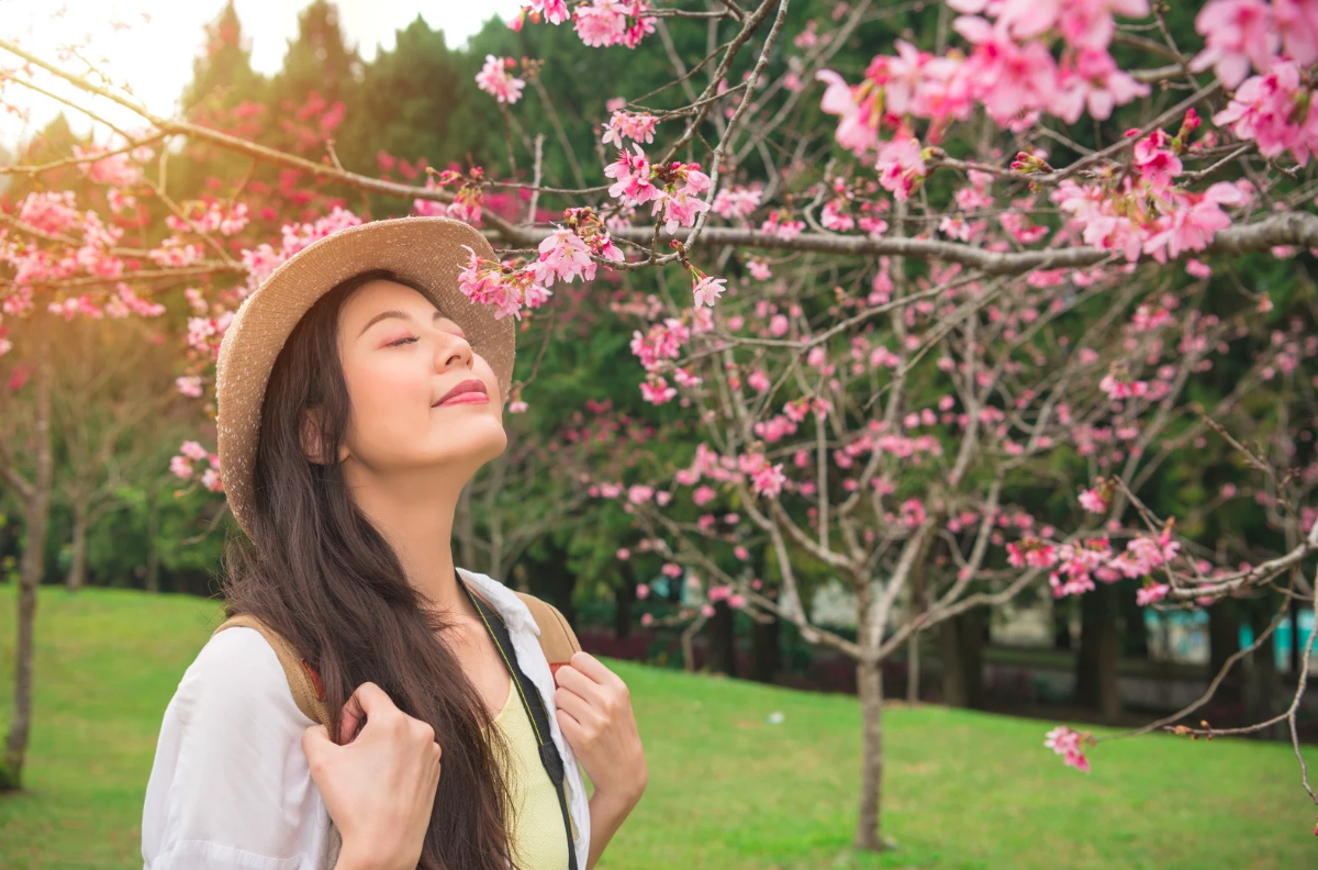iLady 特別整理「三月賞花懶人包」,帶你走訪最夢幻的花卉景點(圖:Canva)