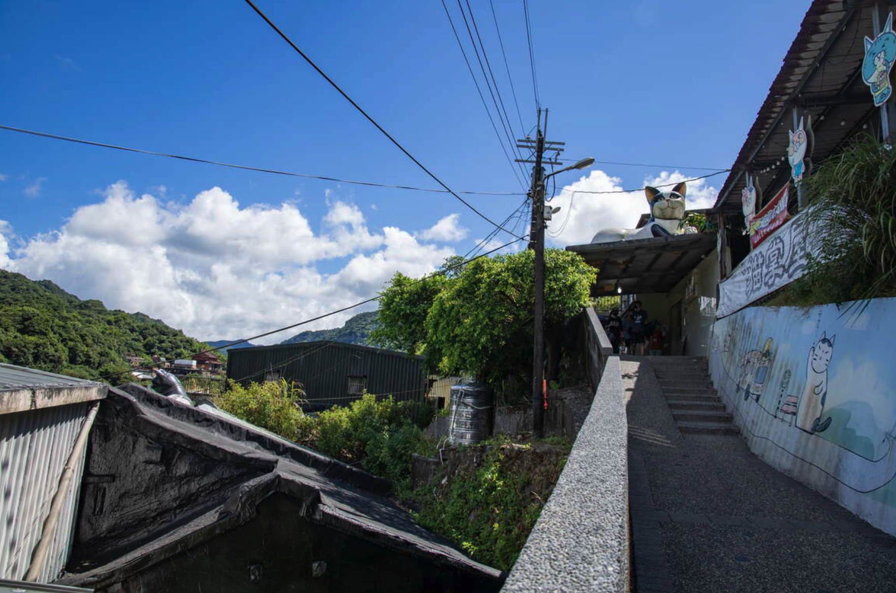 新北猴硐貓村被 CNN 評選為全球 6 大賞貓景點之一(圖:新北市觀光旅遊網)